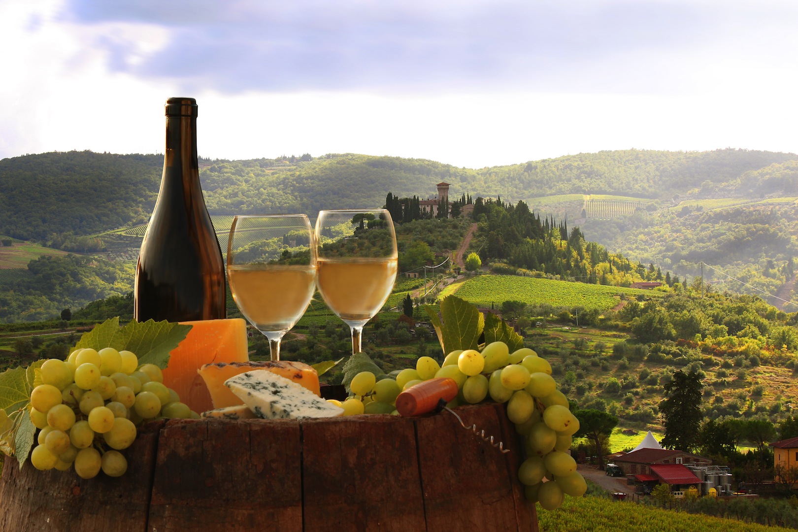 grape wine tours italy