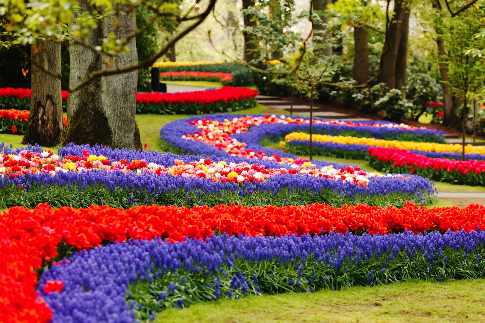 Keukenhof, the largest flower show in the world near Amsterdam Unique