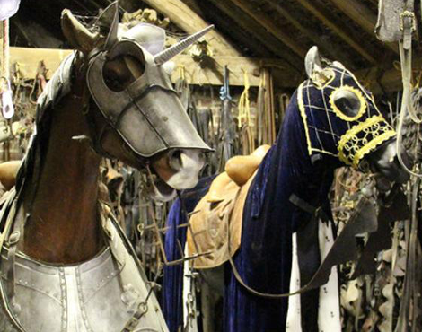 Private tour in Paris with an equestrian day