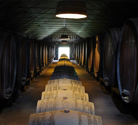 Visite privée des vins de Setubal à Lisbonne