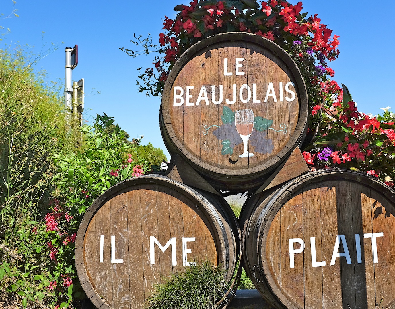 le beaujolais