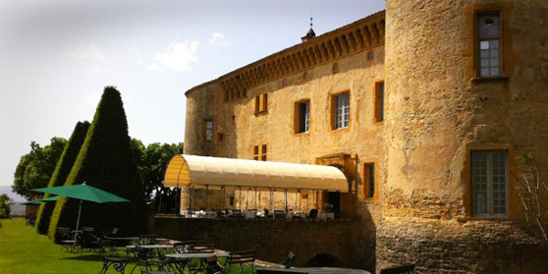 Private tour in Lyon, Beaujolais castle vine yard