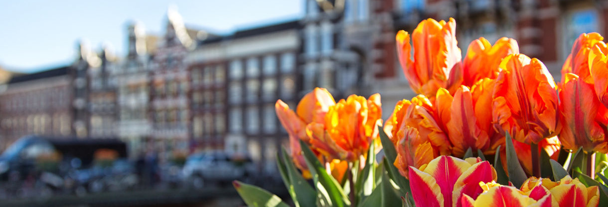 Nos visites privées autour des fleurs à Amsterdam