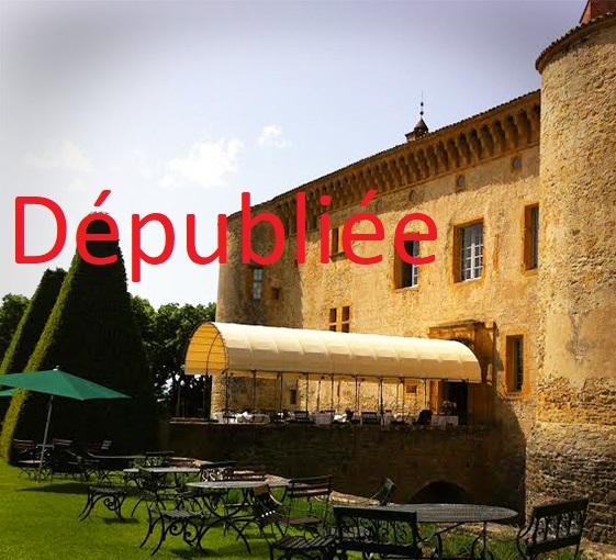 Private tour in south of Beaujolais and tea-time in Château de Bagnols