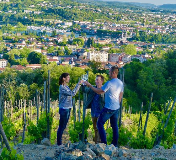 Visite privée de Vienne et vins au départ de Lyon