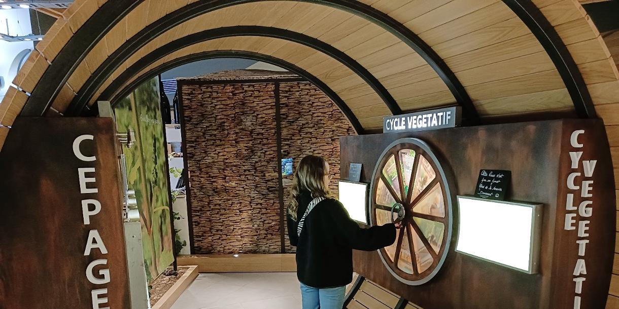 Visite privée du vieux Lyon et des anciens ateliers des canuts