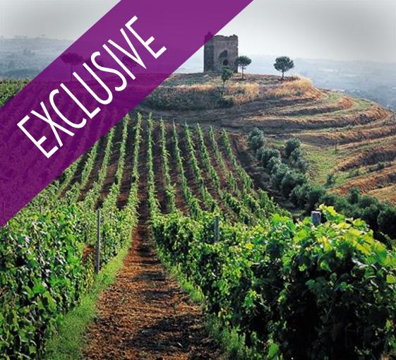 Private tour of countryside and wineries near Rome