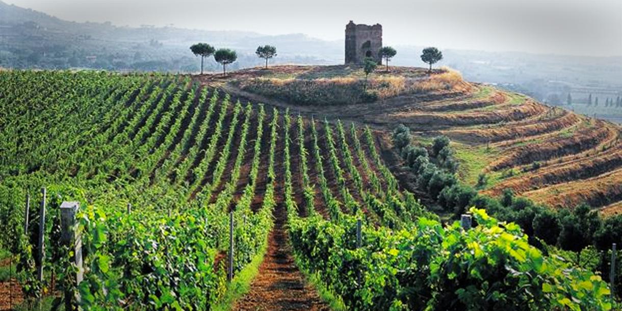 Visite privée de la campagne Romaine et des vignes près de Rome