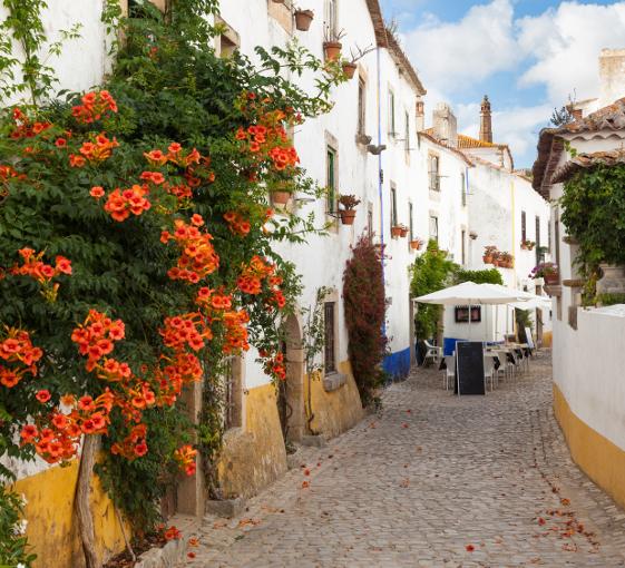 Private tour of the villages of Obidos and Alcobaça from Lisbon