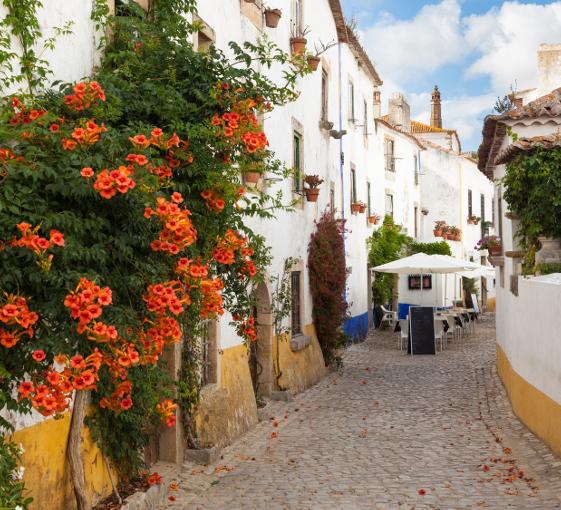 Visite privée des villages d'Óbidos et d'Alcobaça depuis Lisbonne