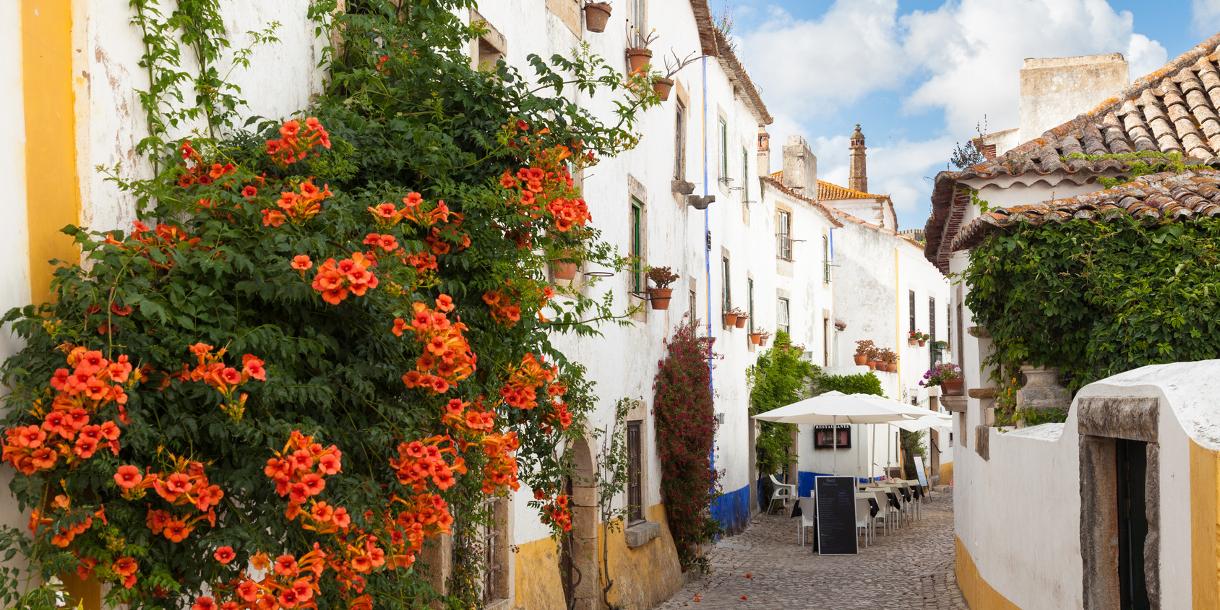 Private tour of the villages of Obidos and Alcobaça from Lisbon