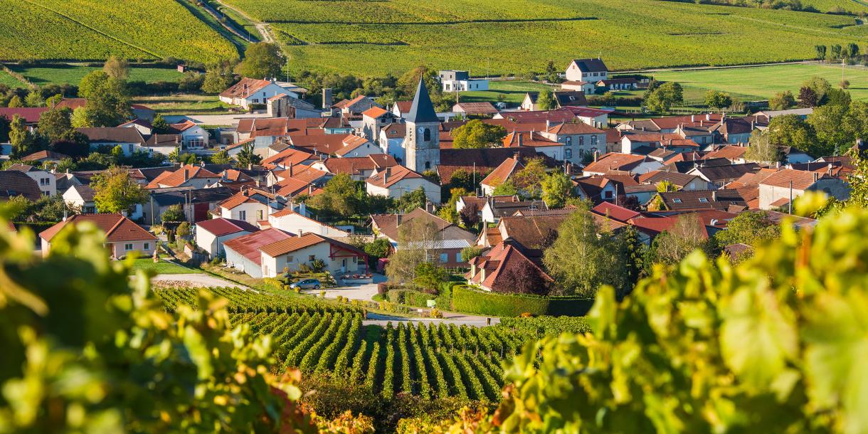 Visite privée en Champagne à Epernay