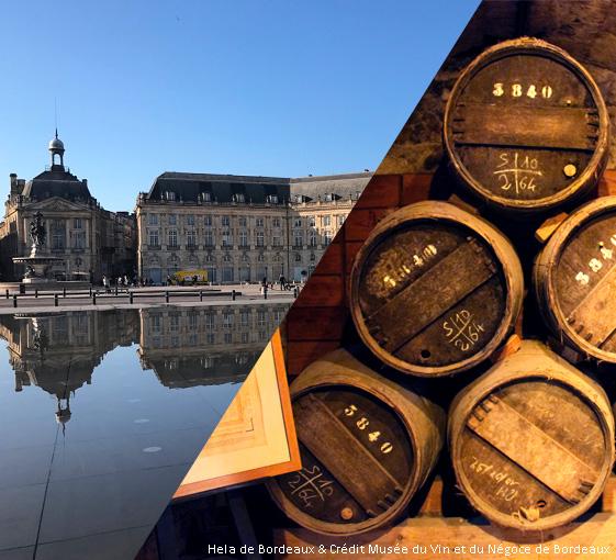 Private tour of wine and history in Bordeaux