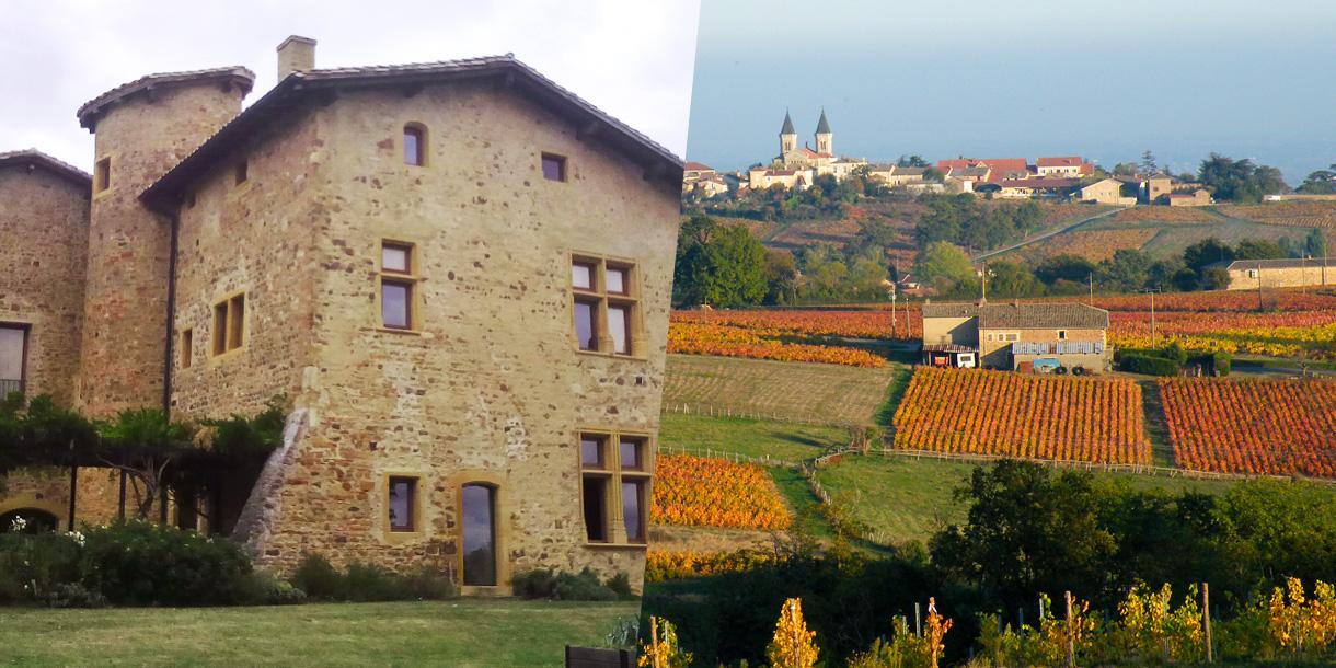 Private wine tasting tour in Chateaux around Lyon