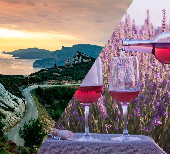 Private tour in Provence with rose wine testing from Marseille