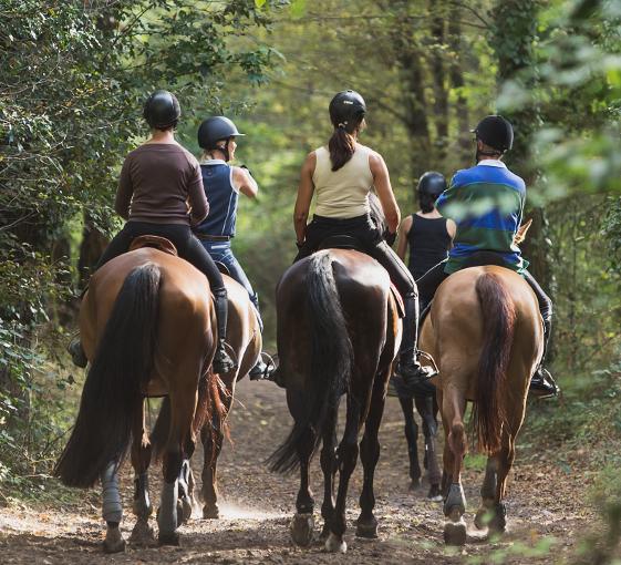 Private discovery tour on horseback near Paris