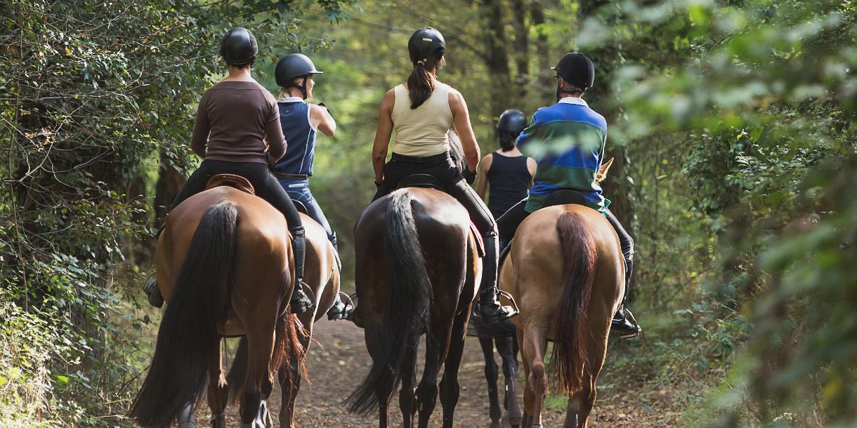 Private discovery tour on horseback near Paris