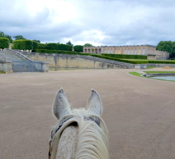 Visite privée à cheval au Parc du Château de Versailles