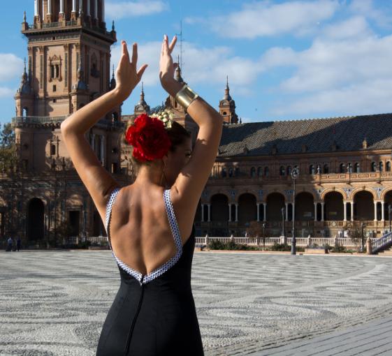 Private unique flamenco musical tour with a dinner in Seville 