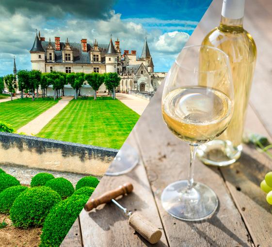 Private art, history and oenological tour in Val de Loire from Paris