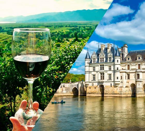 Private history and oenology tour in Val de Loire region from Paris