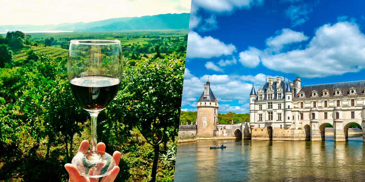 Private history and oenology tour in Val de Loire region from Paris