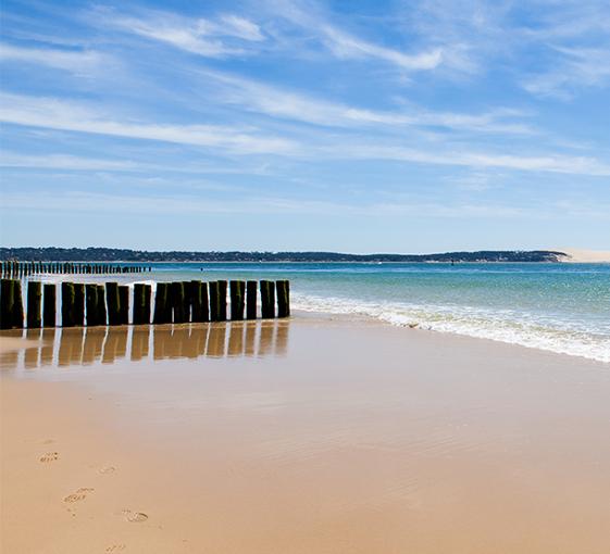 Private tour of the Dune du Pilat and Arcachon departing from Bordeaux