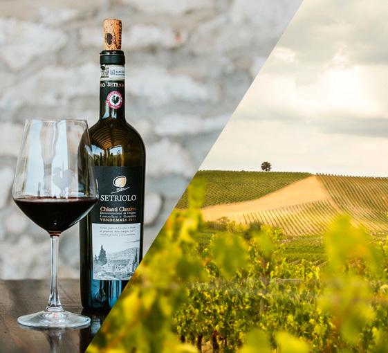 Visite privée découverte des vins et produits en Toscane au départ de Florence