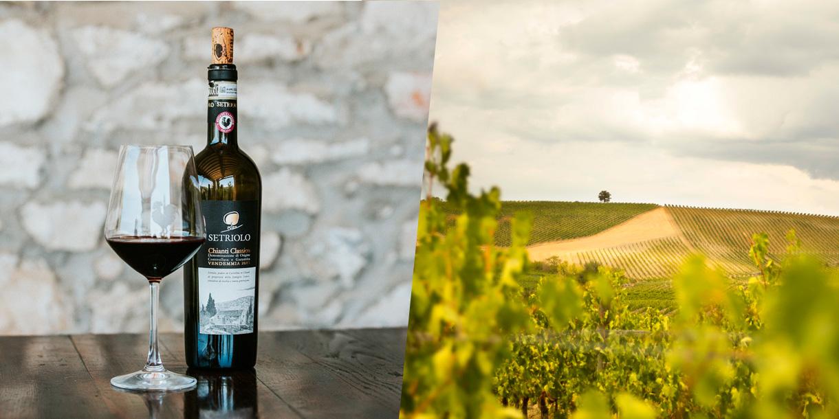 Visite privée découverte des vins et produits locaux en Toscane au départ de Florence