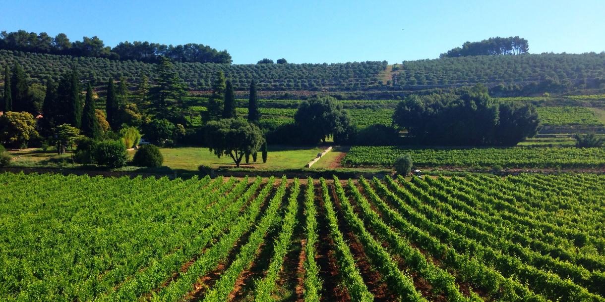 Visite privée des régions provençales et dégustation de vin à Nice