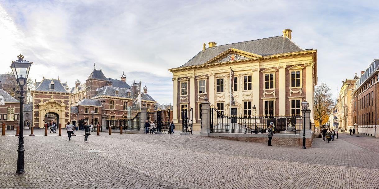 Visite privée du Mauritshuis et balade dans le centre historique de La Haye