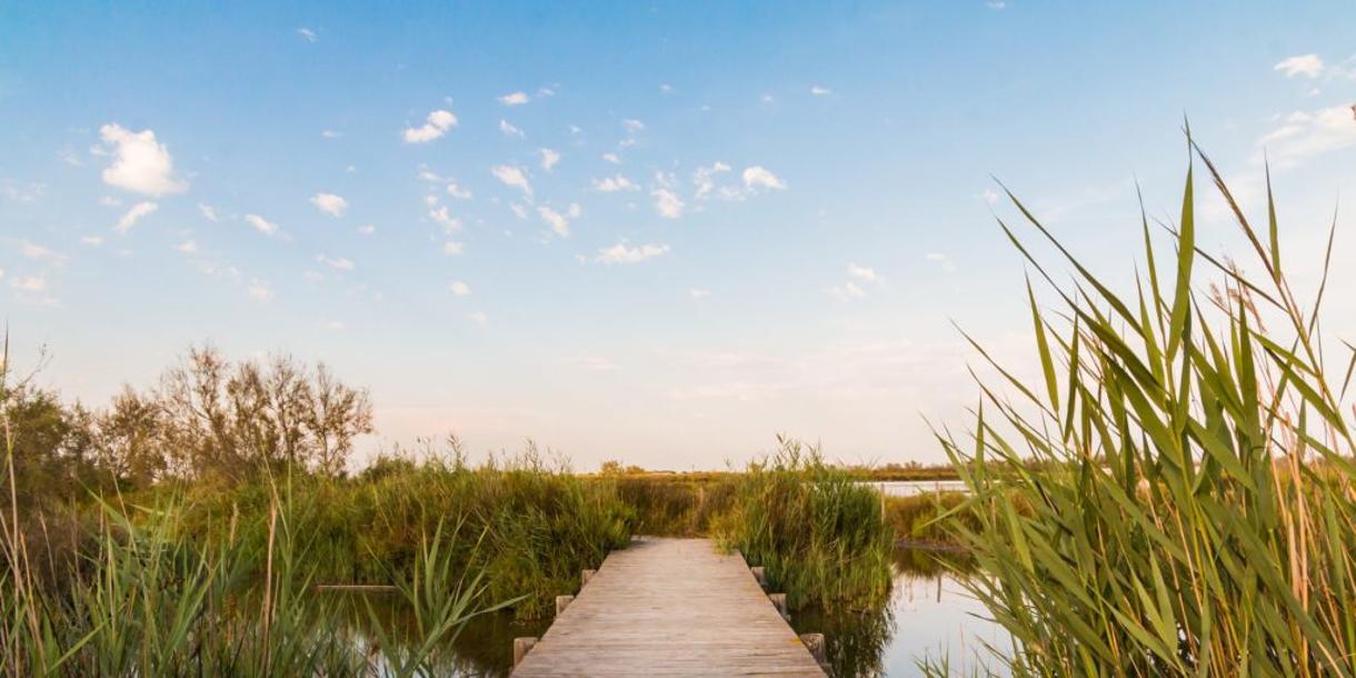 Visite privée de la Camargue en Provence