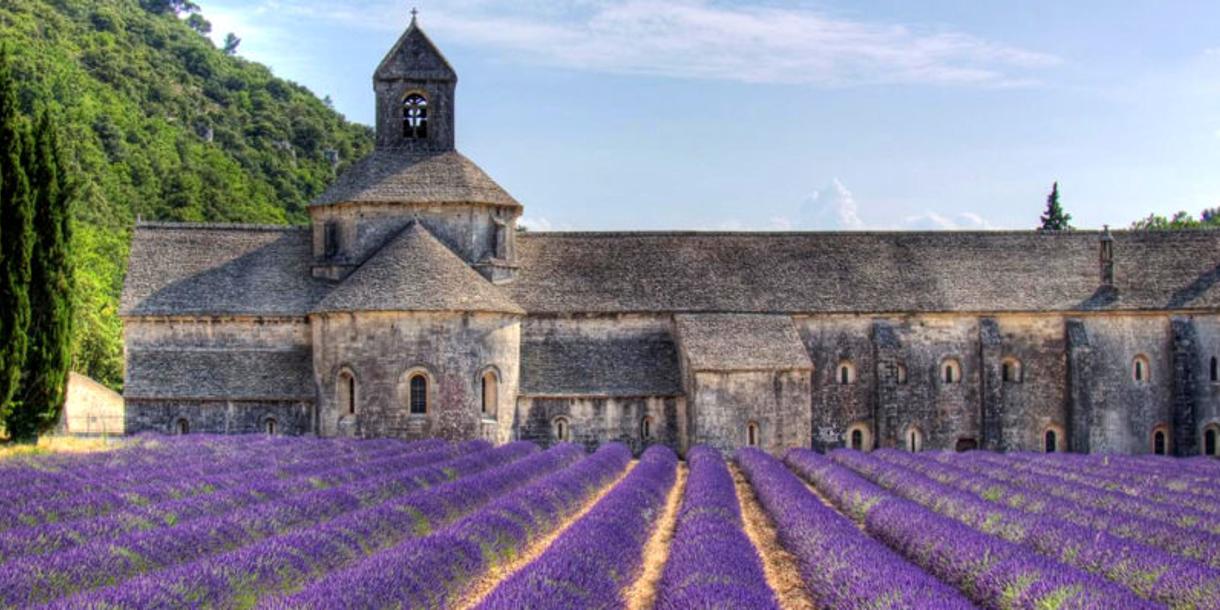 Visite privée des champs de lavande en Provence