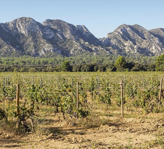 Visite privée d'Arles et Saint-Remy de Provence