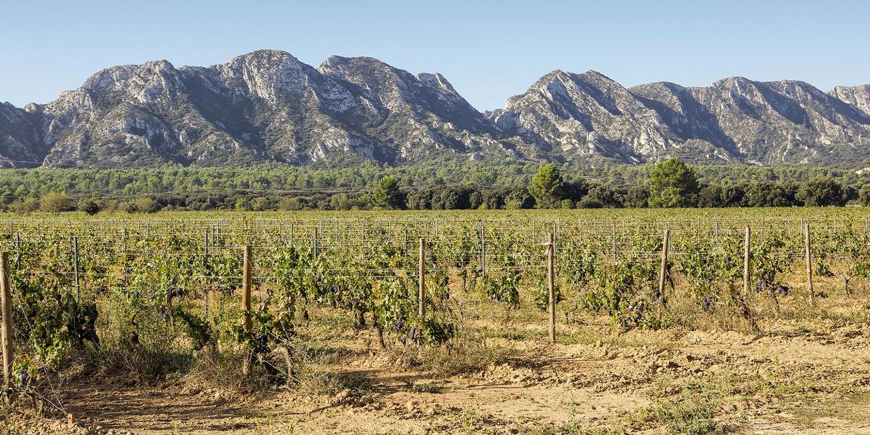 Visite privée d'Arles et Saint-Remy-de-Provence