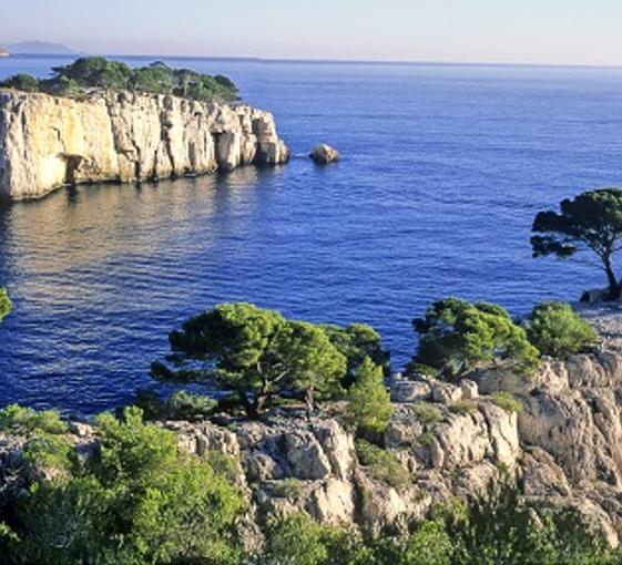 Visite privée de l'appellation Cassis en Provence