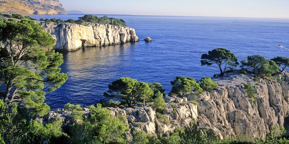 Visite privée de l'appellation Cassis en Provence